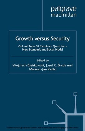 Growth versus Security