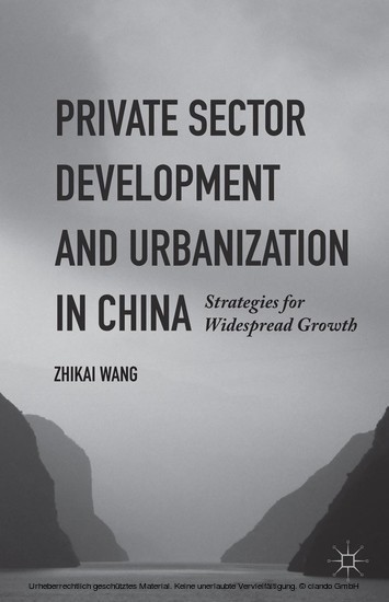 Private Sector Development and Urbanization in China main product photo