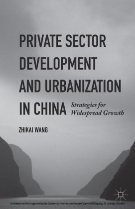 Private Sector Development and Urbanization in China