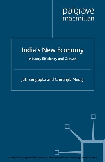 India's New Economy main product photo