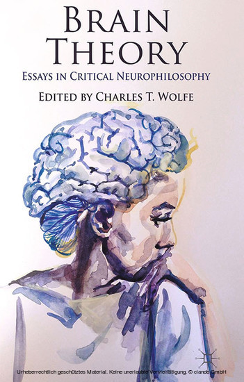 Brain Theory main product photo