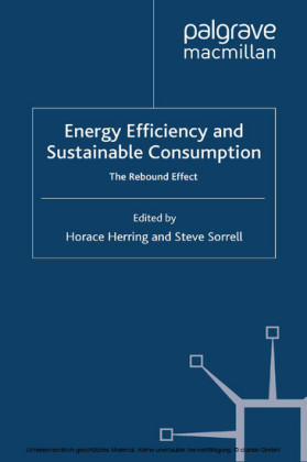 Energy Efficiency and Sustainable Consumption