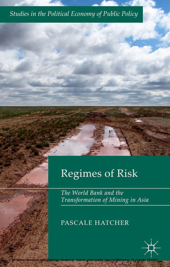 Regimes of Risk main product photo