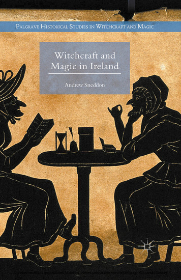 Witchcraft and Magic in Ireland main product photo