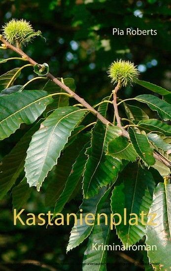 Kastanienplatz main product photo