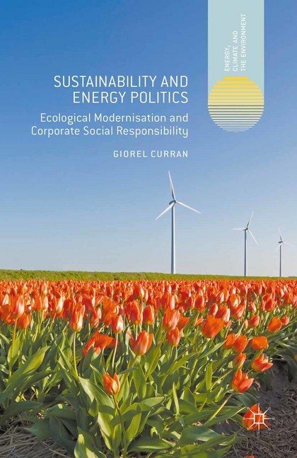 Sustainability and Energy Politics main product photo