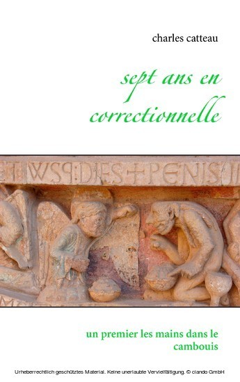 Sept ans en correctionnelle main product photo