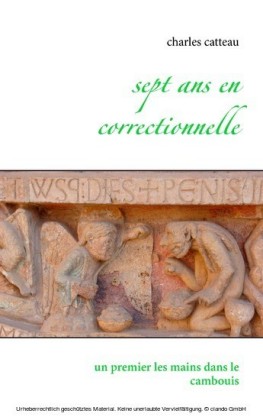Sept ans en correctionnelle