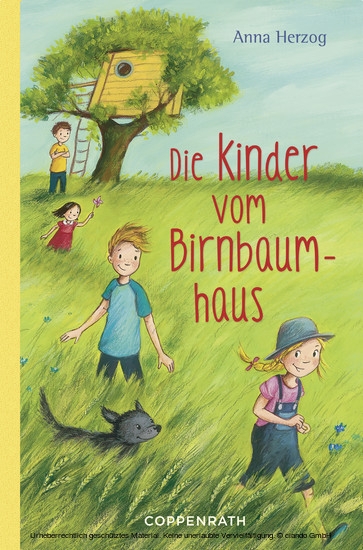 Die Kinder vom Birnbaumhaus main product photo