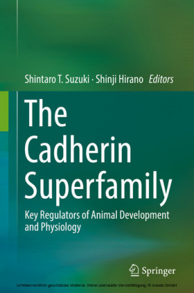 The Cadherin Superfamily