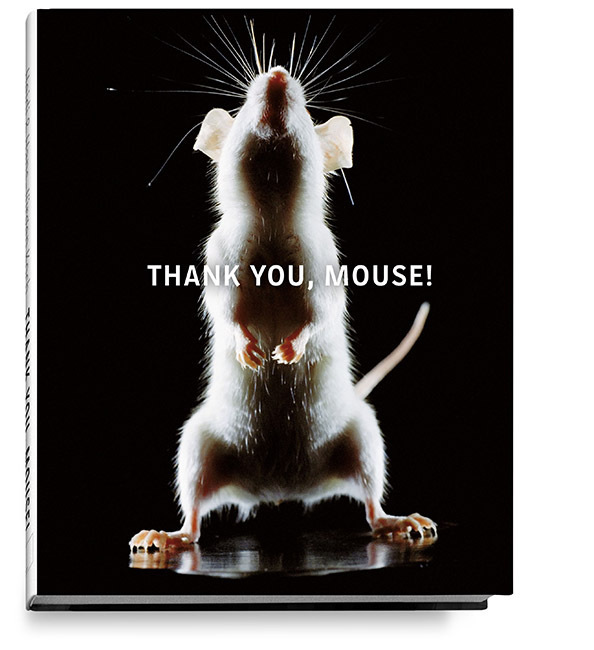 THANK YOU, MOUSE! main product photo