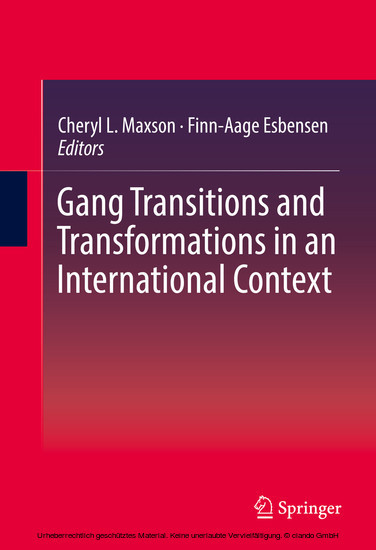 Gang Transitions and Transformations in an International Context main product photo