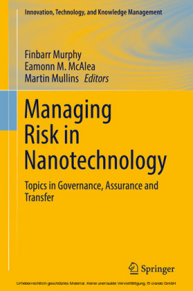 Managing Risk in Nanotechnology