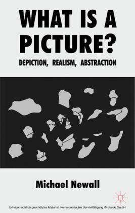 What is a Picture?