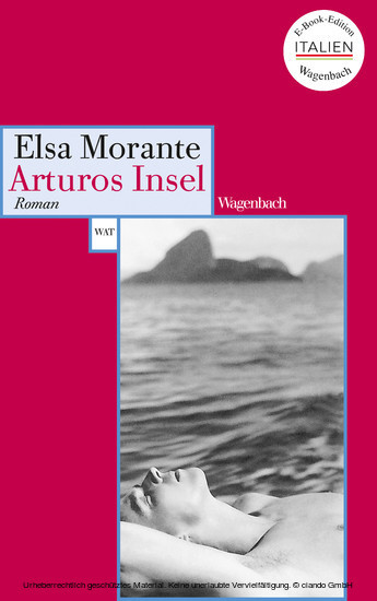 Arturos Insel main product photo