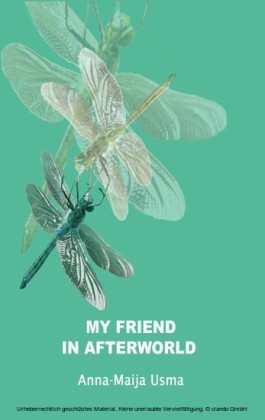 My friend in Afterworld