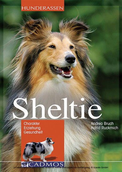 Sheltie main product photo