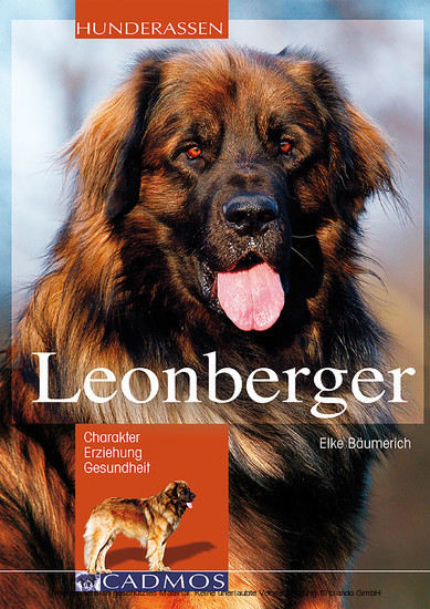 Leonberger main product photo