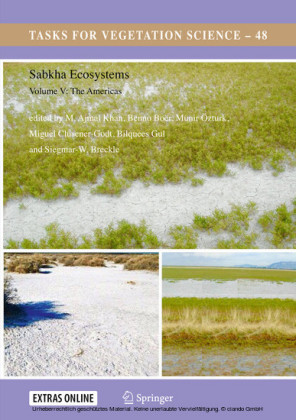 Sabkha Ecosystems