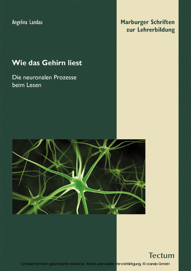 Wie das Gehirn liest main product photo