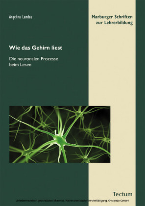 Wie das Gehirn liest