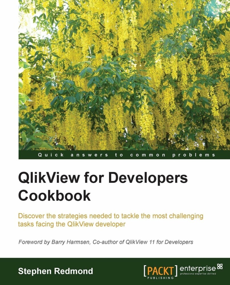 QlikView for Developers Cookbook main product photo
