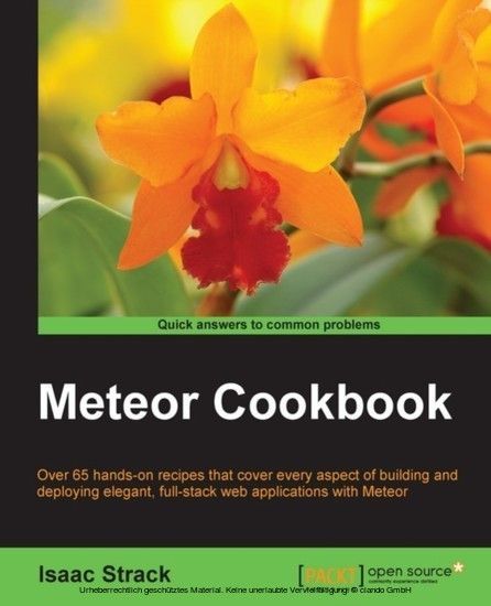 Meteor Cookbook main product photo