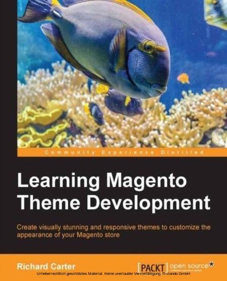 Learning Magento Theme Development main product photo