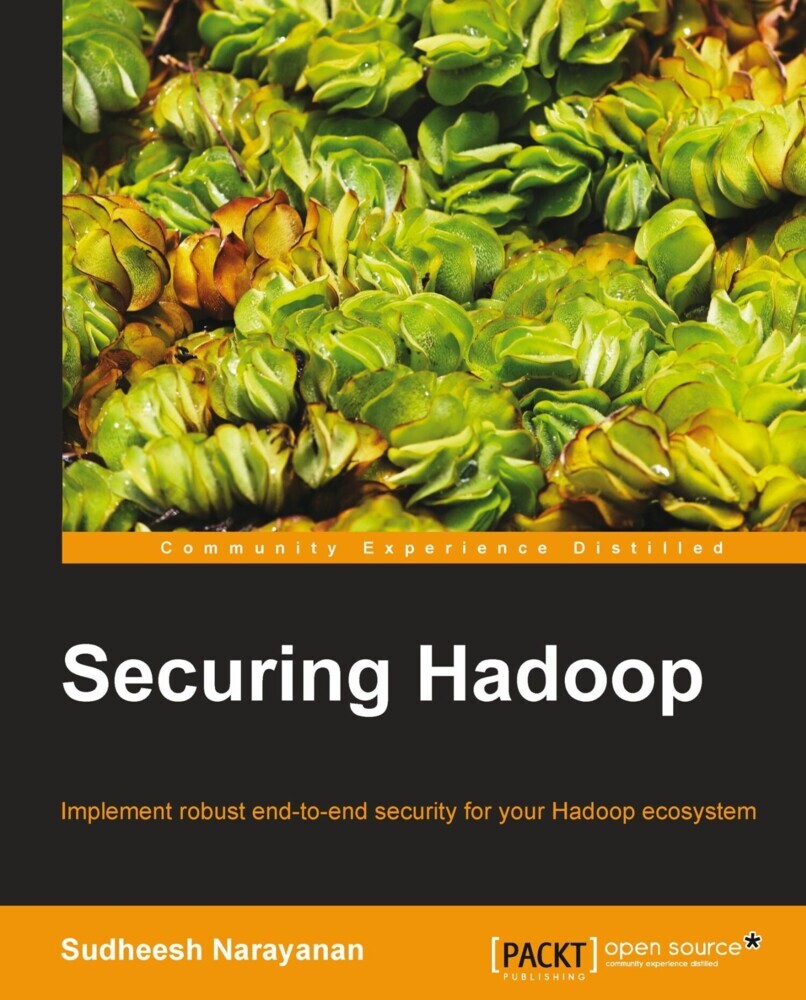 Securing Hadoop main product photo