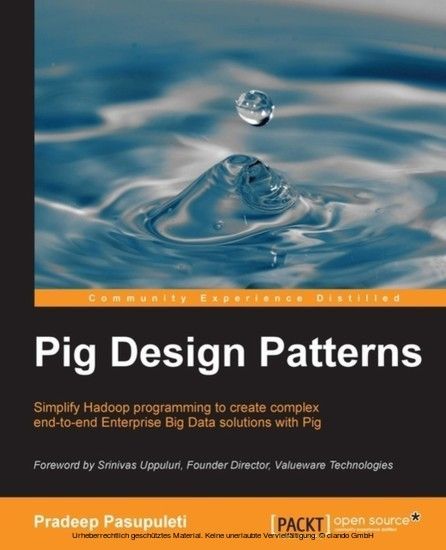 Pig Design Patterns main product photo
