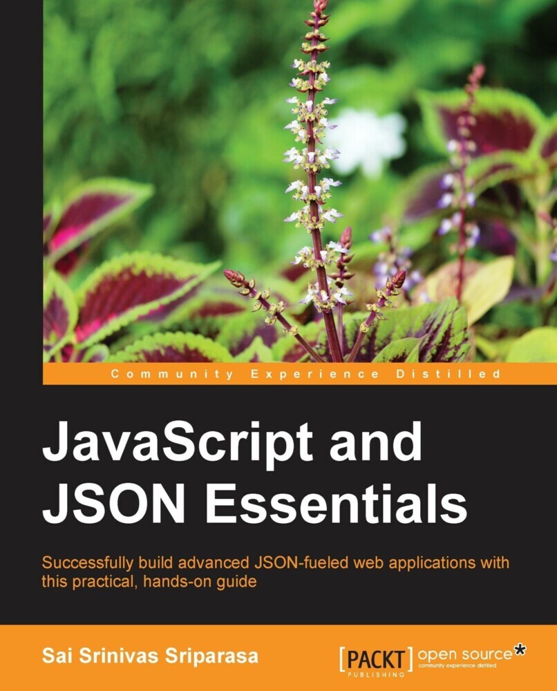 JavaScript and JSON Essentials main product photo