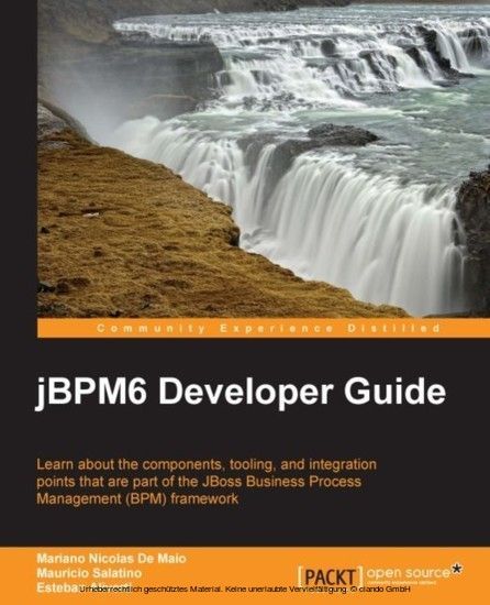 jBPM6 Developer Guide main product photo