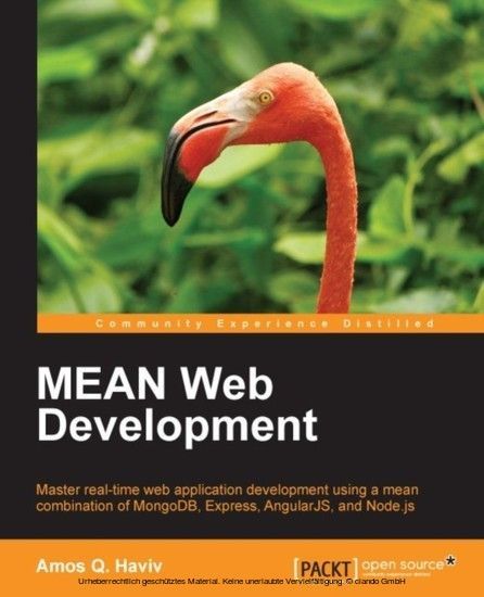 MEAN Web Development main product photo