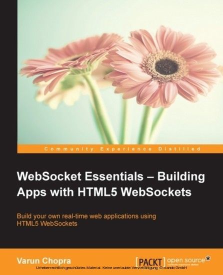 WebSocket Essentials - Building Apps with HTML5 WebSockets main product photo