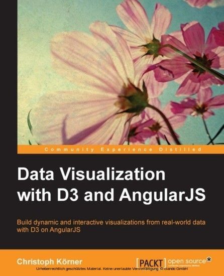 Data Visualization with D3 and AngularJS main product photo
