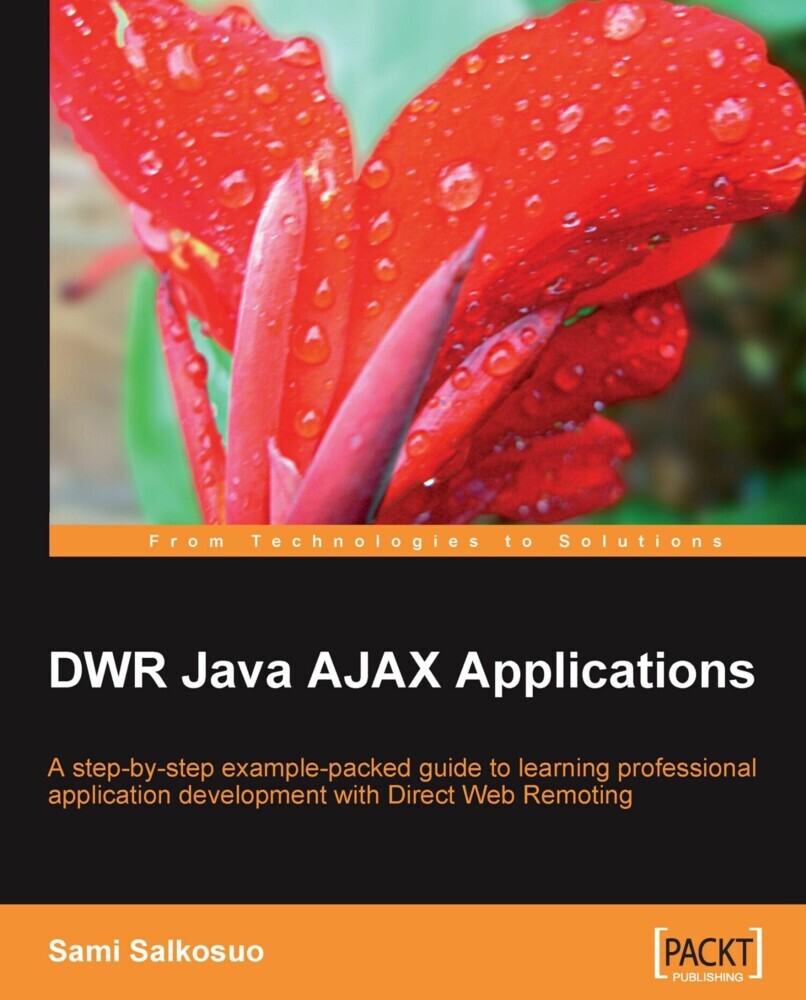 DWR Java AJAX Applications main product photo