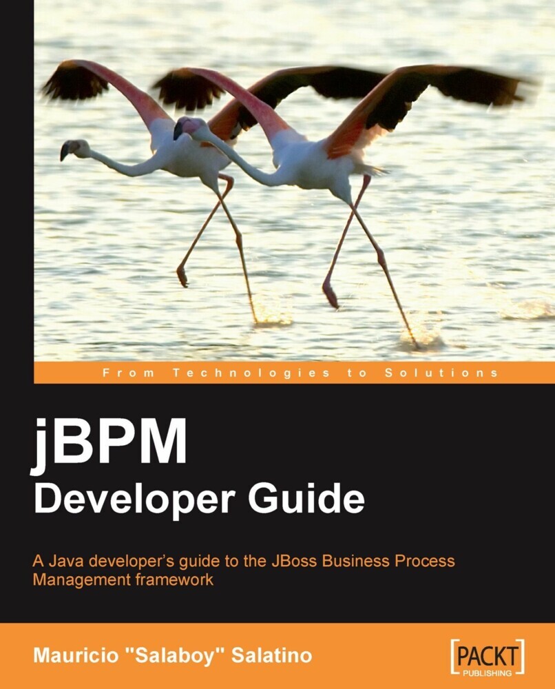 jBPM Developer Guide main product photo