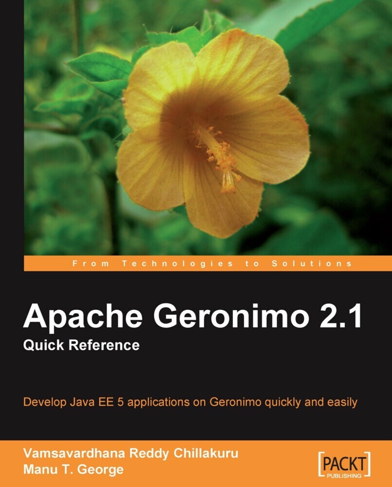 Apache Geronimo 2.1 main product photo