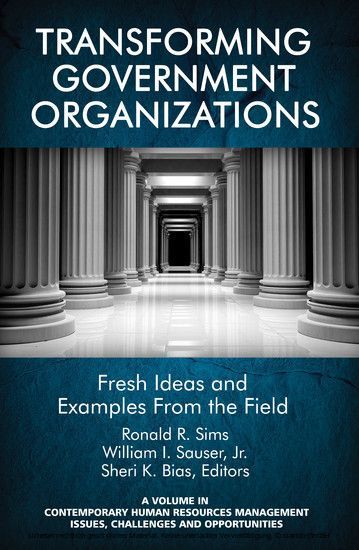 Transforming Government Organizations main product photo