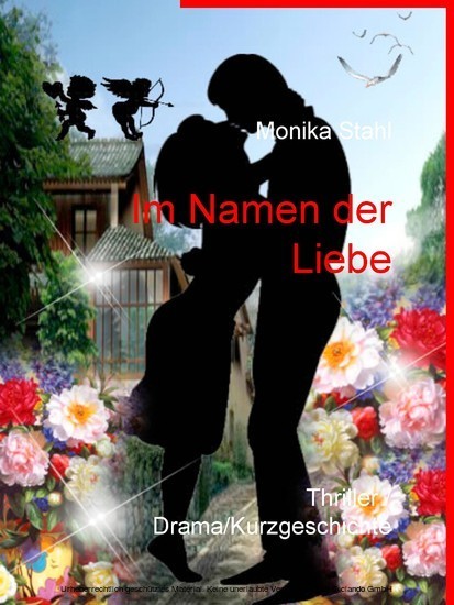 Im Namen der Liebe main product photo