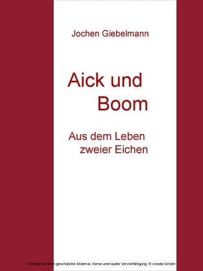 Aick und Boom main product photo