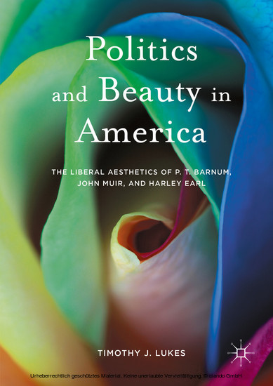 Politics and Beauty in America main product photo