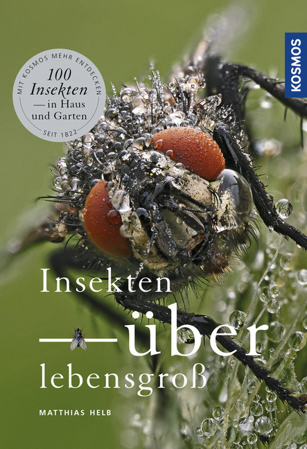Insekten überlebensgroß main product photo