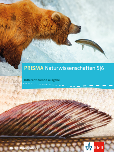 PRISMA Naturwissenschaften 5/6. Differenzierende Ausgabe Berlin, Brandenburg main product photo