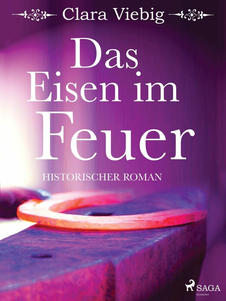 Das Eisen im Feuer main product photo