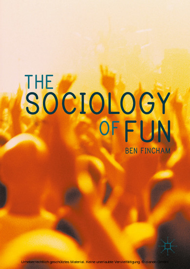 The Sociology of Fun main product photo