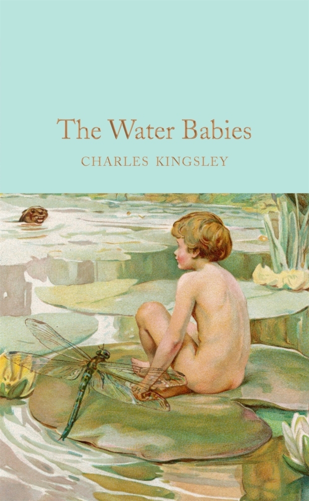 The Water-Babies main product photo