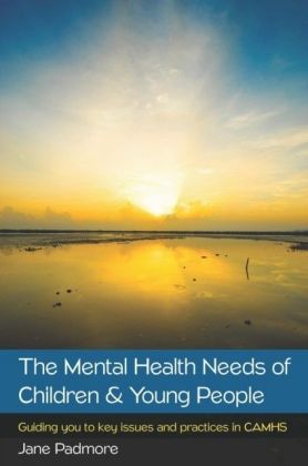 The Mental Health Needs Of Children & Young People