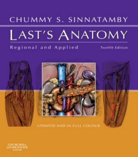 Last's Anatomy main product photo