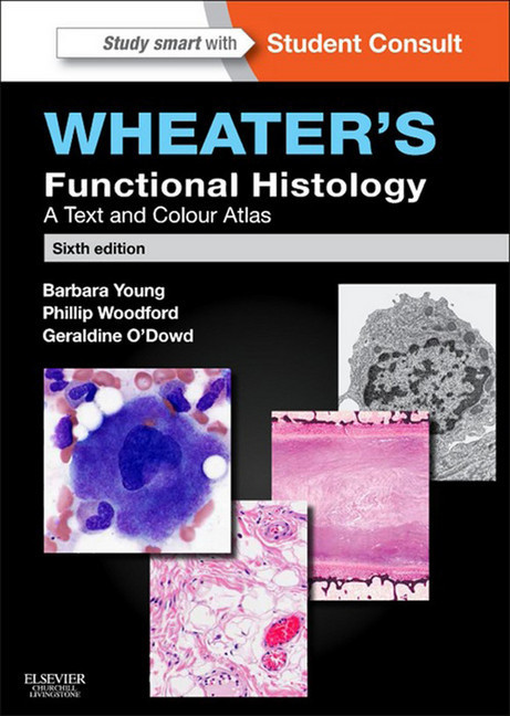 Wheater's Functional Histology E-Book main product photo